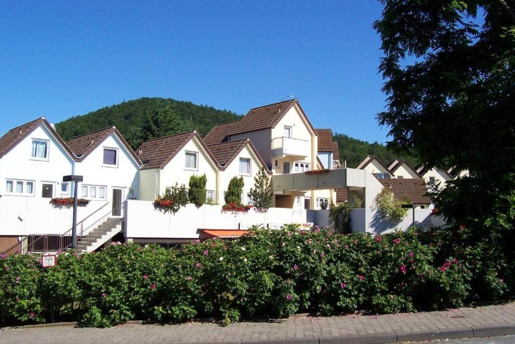 Seeblick Geniessen In Schoener Fewo Am Edersee Scheid (Waldeck-Frankenberg) Exterior foto